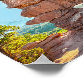 Poster Formation de Siamese Twins, Colorado (Coin)