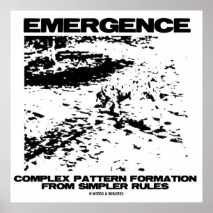 Poster Formation Motif Complexe D'Émergence À Partir De P