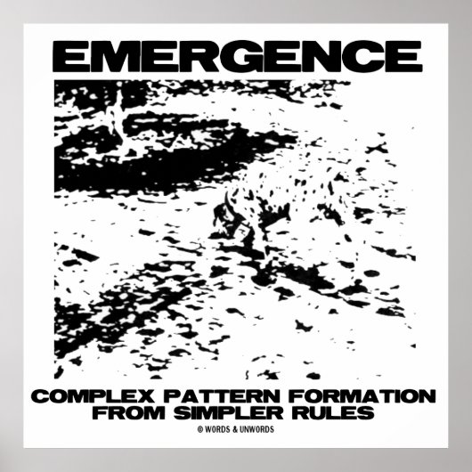 Poster Formation Motif Complexe D'Émergence À Partir De P (Devant)