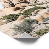 Poster Formation rocheuse du désert de Joshua Tree Califo (Coin)