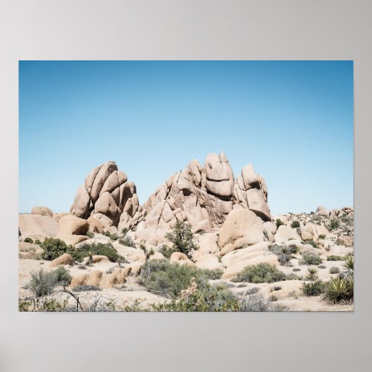 Poster Formation rocheuse du désert de Joshua Tree Califo (Devant)