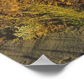 Poster Formations de Badlands dans le parc provincial Din (Coin)