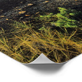 Poster Formations de Badlands dans le parc provincial Din (Coin)