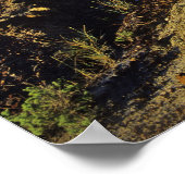 Poster Formations de Badlands dans le parc provincial Din (Coin)