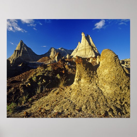 Poster Formations des Badlands au Dinosaur Provincial Par (Devant)