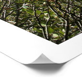 Poster Formations des grottes (Coin)