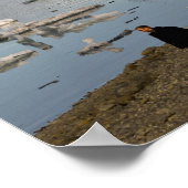 Poster Formations d'icebergs (Coin)