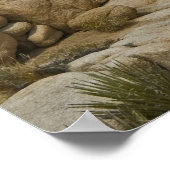Poster Formations Joshua Tree (Coin)