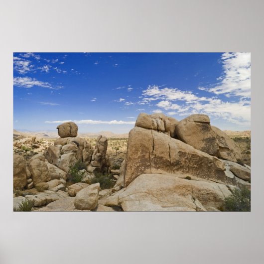 Poster Formations Joshua Tree (Devant)