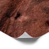 Poster formations rocheuses Brown (Coin)