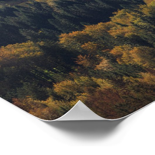 Poster Forme cardiaque dans une forêt en Slovénie (Coin)