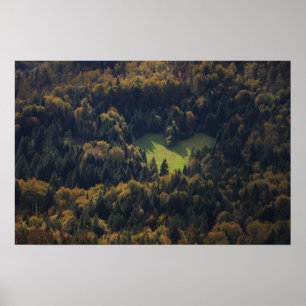Poster Forme cardiaque dans une forêt en Slovénie