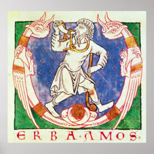 Poster Forme de deux créatures ailées avec entrelacs