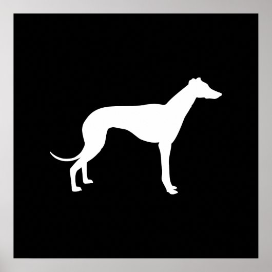 Poster Forme noir et blanc de Greyhound (Devant)