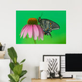 Poster Forme noire de Papilio glaucus (Bureau à domicile)