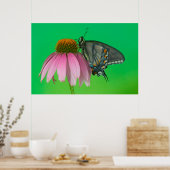 Poster Forme noire de Papilio glaucus (Cuisine)