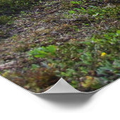 Poster Former un enfant... (Coin)