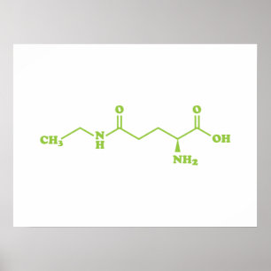 Poster Formule chimique moléculaire de la théanine du thé