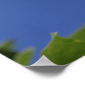 Poster Formule grecque (Coin)