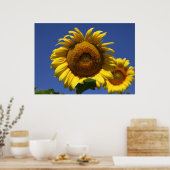 Poster Formule grecque (Cuisine)