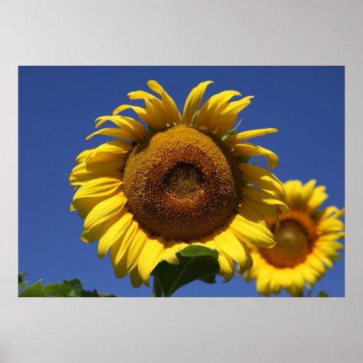 Poster Formule grecque (Devant)