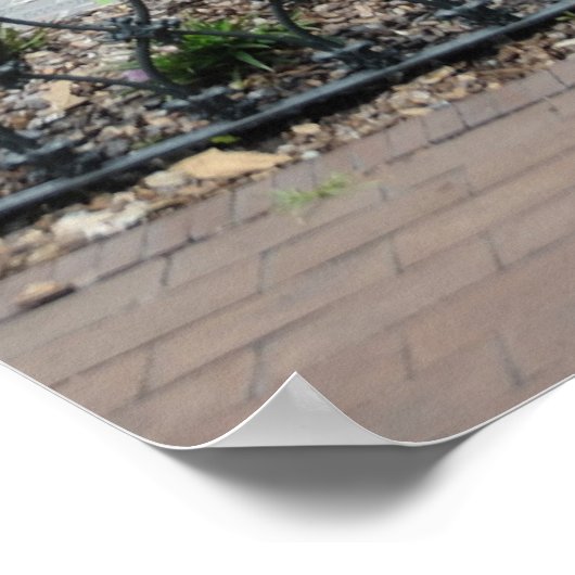 Poster Forsyth Park Fountain (Coin)