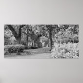 Poster Forsyth Park, Savannah Ga (Devant)