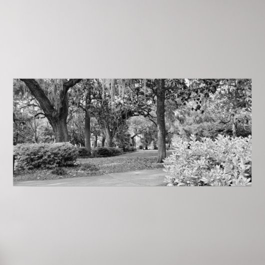 Poster Forsyth Park, Savannah Ga (Devant)