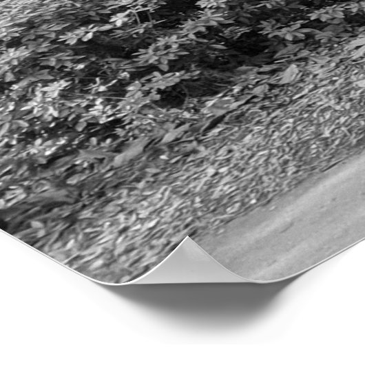 Poster Forsyth Park, Savannah Ga (Coin)