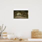 Poster Forsyth Park, Savannah, Géorgie vers 1901 (Cuisine)