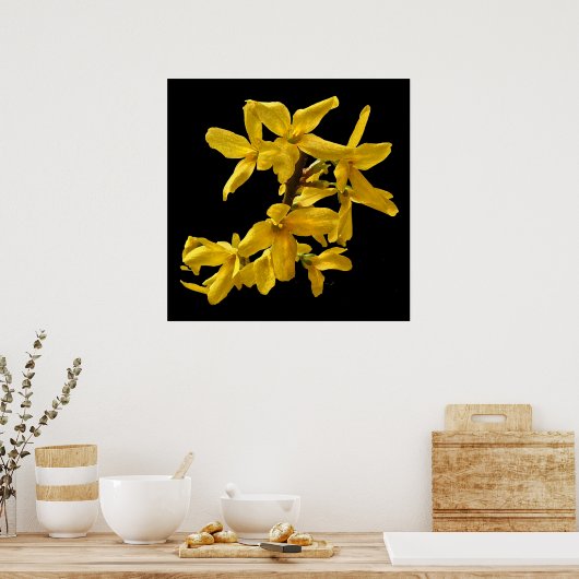 Poster Forsythia (Cuisine)
