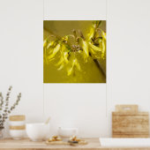 Poster Forsythia - Soleil printanier (Cuisine)