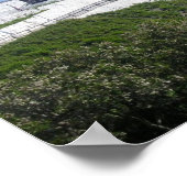 Poster Fort Mackinac (Coin)