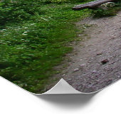 Poster Fort médiéval sur rocher (Coin)