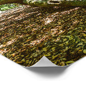 Poster Forte Et Grave (Coin)