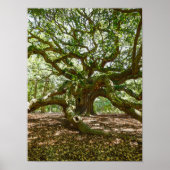 Poster Forte Et Grave (Devant)