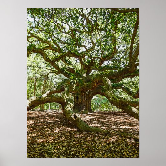 Poster Forte Et Grave (Devant)