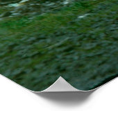 Poster Forth Bridge (inachevé) (Coin)