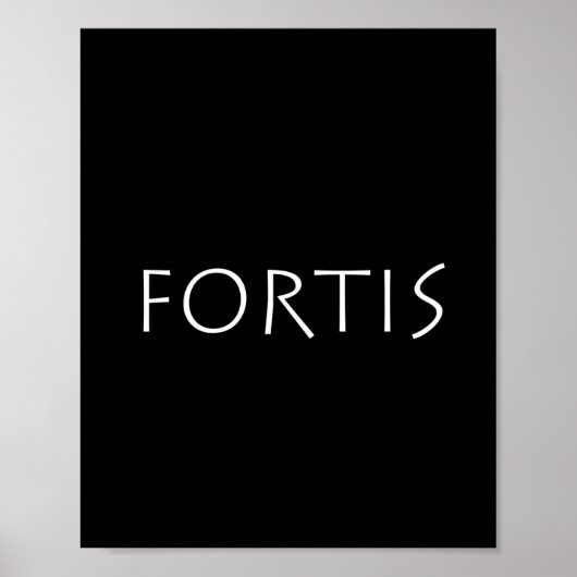Poster Fortis (Devant)