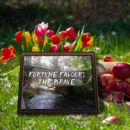 Poster Fortune privilégie l'affiche du brave proverbe bri