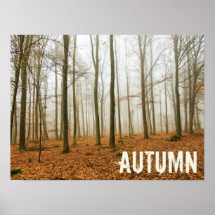 Poster Fosse d'automne et brouillard cadeau de la saison