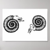 Poster Fossil : Snakestone ou Ammonite ? (Devant)