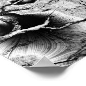 Poster Fossile (Coin)