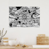 Poster Fossile (Cuisine)