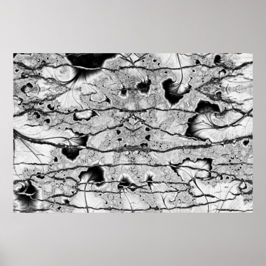 Poster Fossile (Devant)