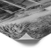 Poster Foster House (Coin)