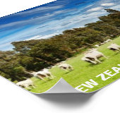 Poster FOTC Nouvelle-Zélande Ewe devrait venir (Coin)