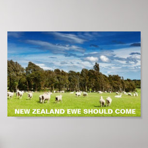 Poster FOTC Nouvelle-Zélande Ewe devrait venir
