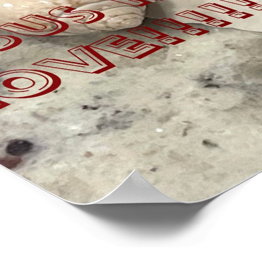 POSTER FOTH BEACHY (Coin)