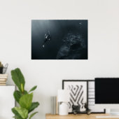 Poster Fotografe duiker (Thuiskantoor)